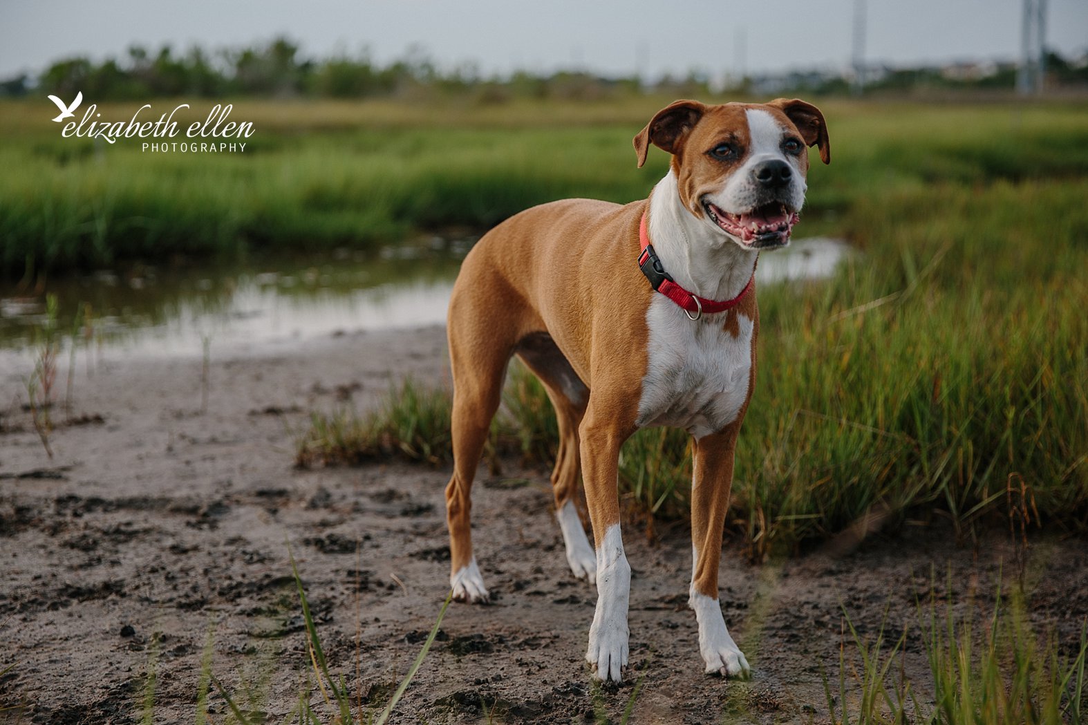 Wilmington NC Family Photographer_0909.jpg