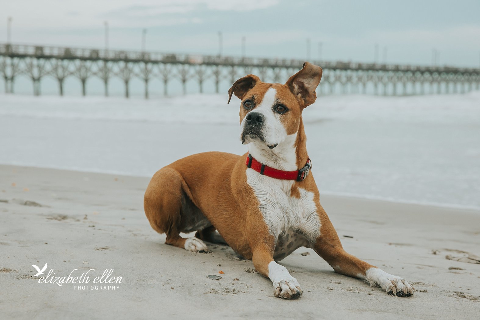 Wilmington NC Family Photographer_0920.jpg